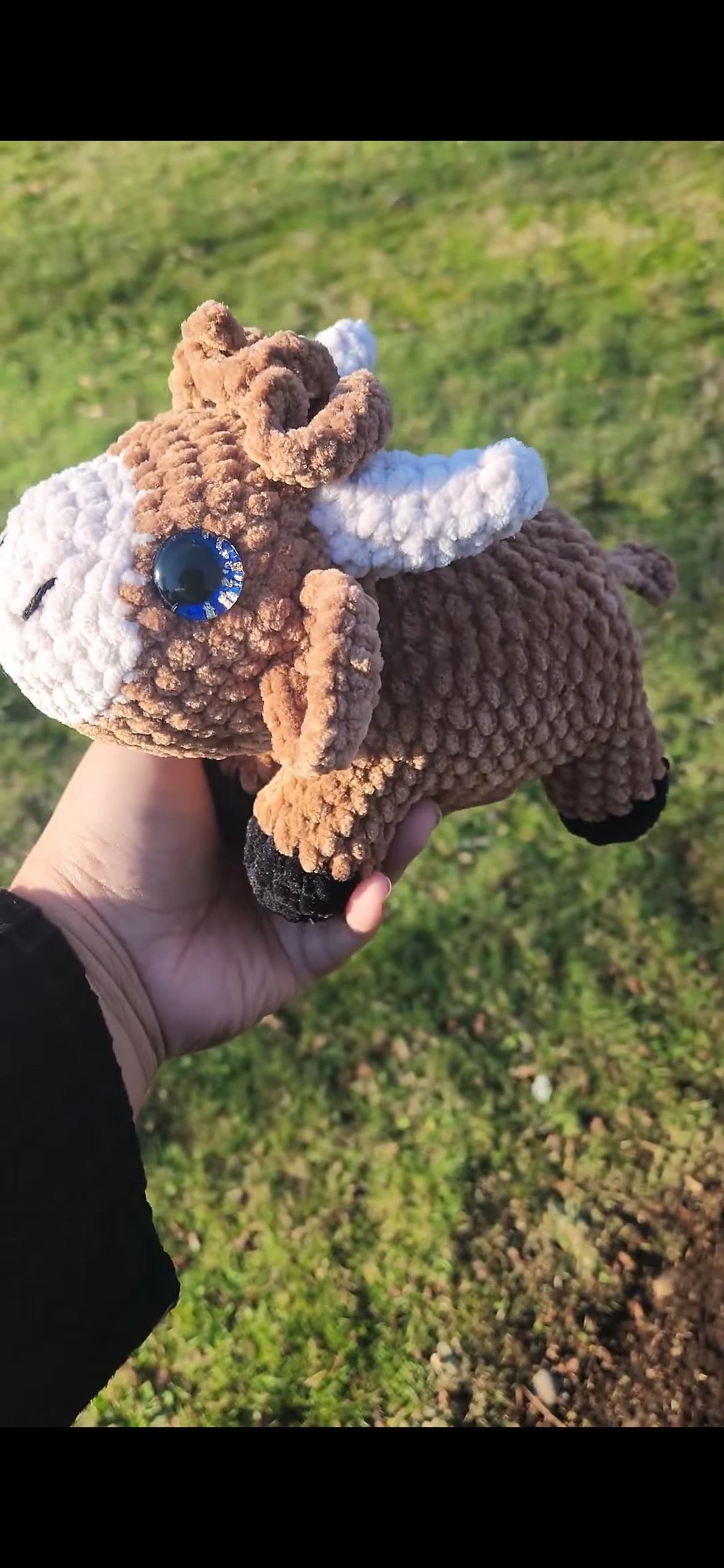 Custom Order for Janice D. (2 highland cows)